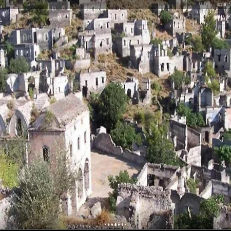 فيلة Beatrice Large Family *